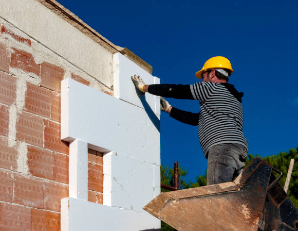 Best Insulation Maintenance and Repair in Forest Lake, MN