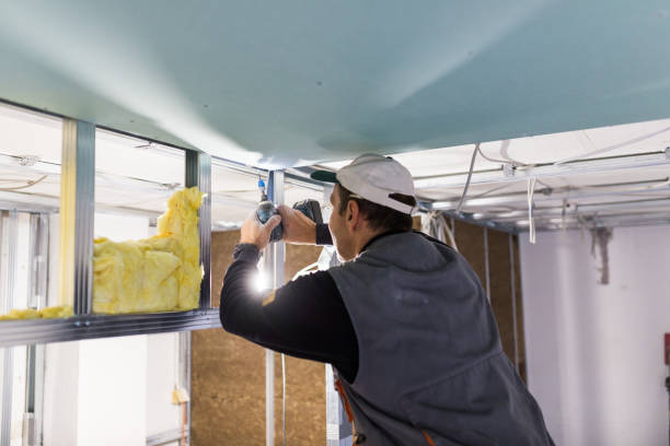 Best Insulation Maintenance and Repair in Forest Lake, MN