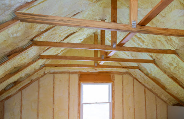 Best Insulation Installation Services in Forest Lake, MN