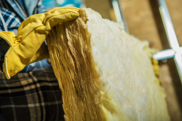  Forest Lake, MN Insulation Contractor Pros