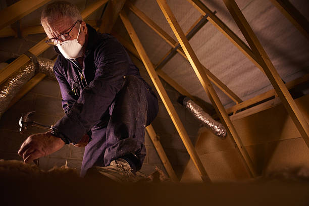 Best Insulation Installation Services in Forest Lake, MN